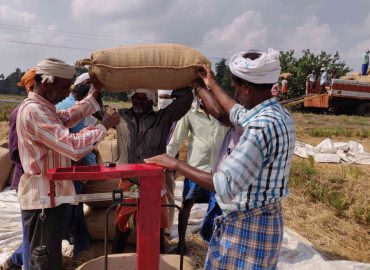 Last season, Supplyco procured 7.48 lakh tonnes of paddy